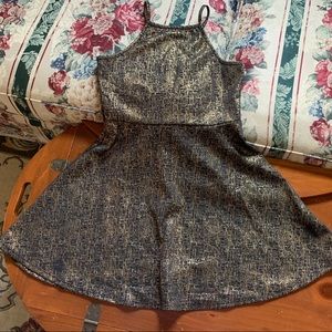 Metallic Skater Dress